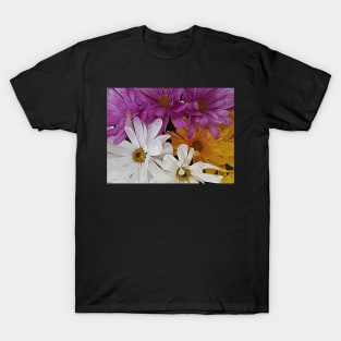 Blossoming chrysanthemums T-Shirt